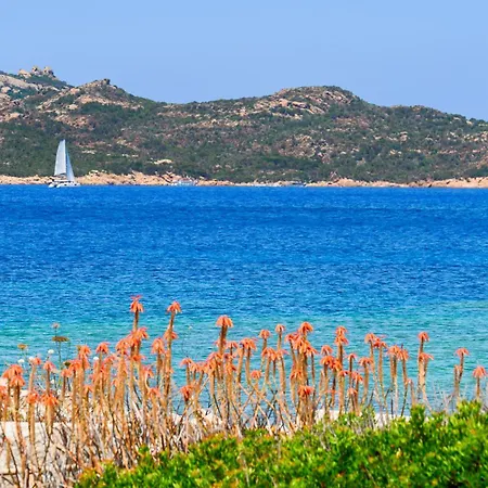 Casetta Rustica Sul Mare - Cala Francese * Casa la Padula